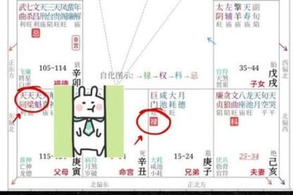 紫薇斗数夹禄夹权