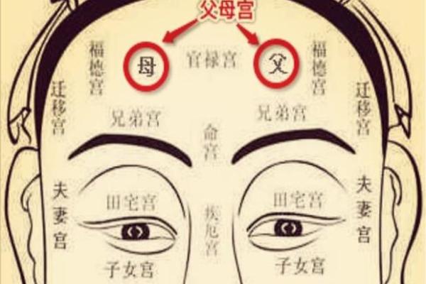 女人面相算命
