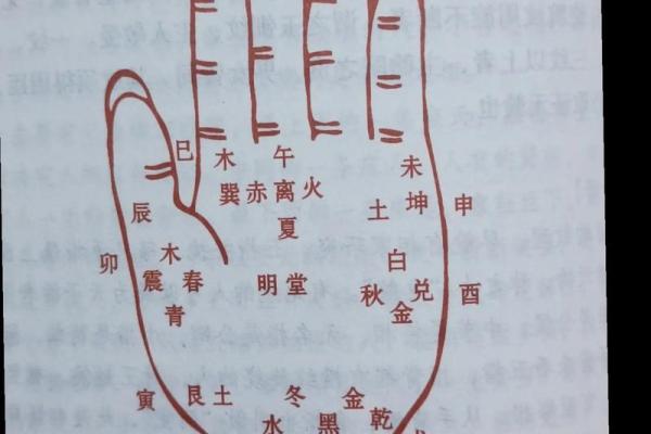 女生算命看左手吗