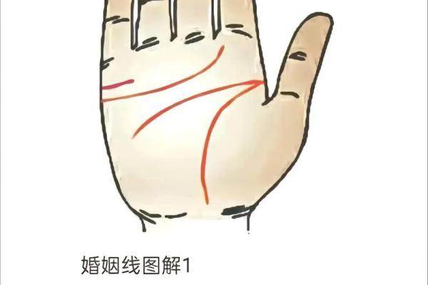 女生算命看左手吗