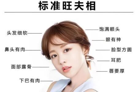 风水角度：柳叶眉女生的面相解释
