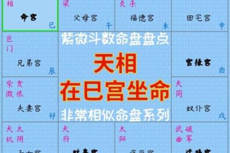 紫薇斗数丙丁生人