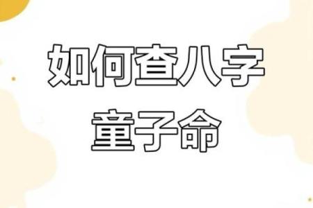 童子命的八字