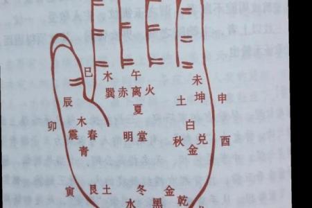 女生算命看左手吗