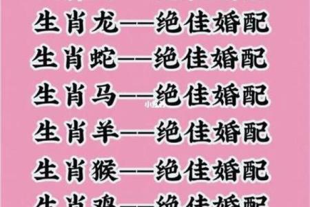 96年女鼠八字姻缘配猪