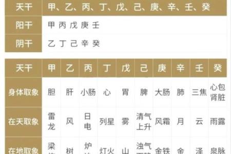 八字十天干的特点要义（上）