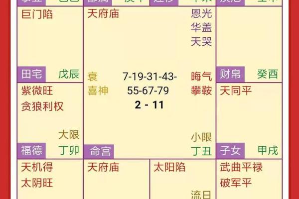 紫薇斗数 命盘是怎么看