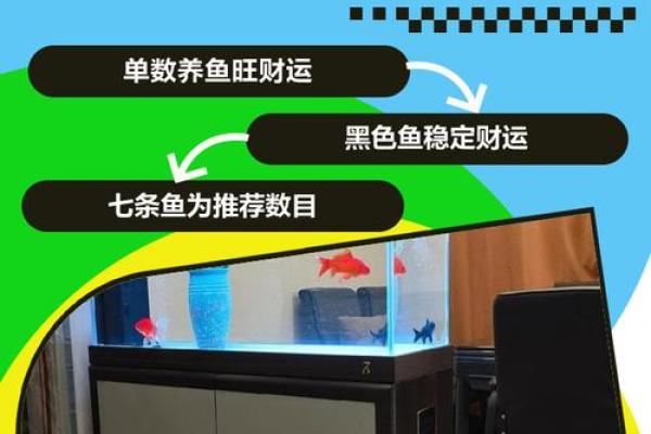 养鱼风水讲究需要注意哪些方面呢
