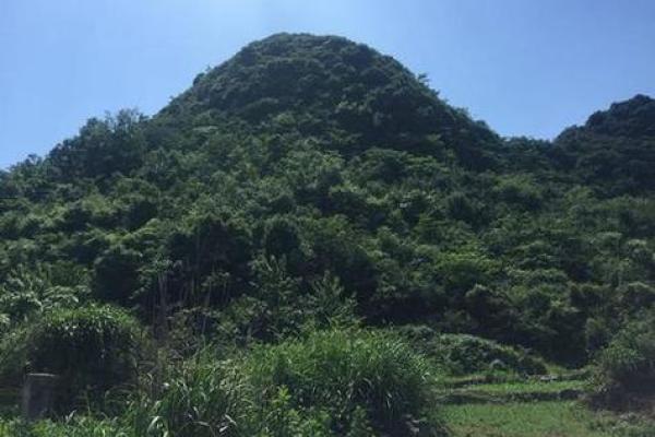 犀牛望月风水宝地