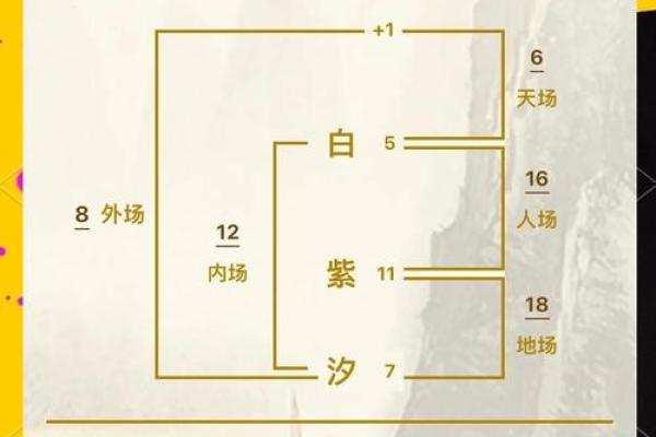 姓名与人生免费测试名典网