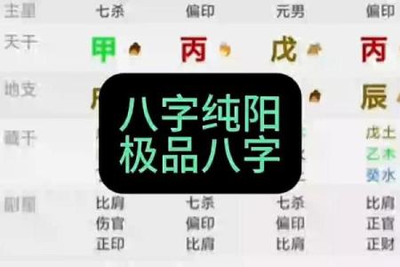 八字纯阳男命为什么可怕？