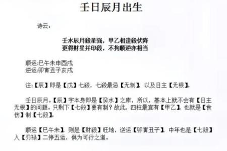 壬水的八字