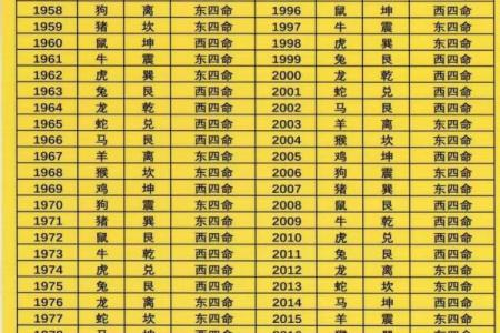 老公属马,老婆属龙,住几层的楼房风水更好？