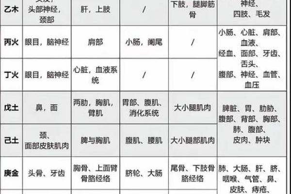 八字与职业