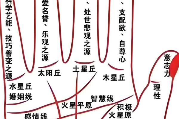 手掌算命