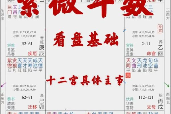 命格查询紫薇斗数