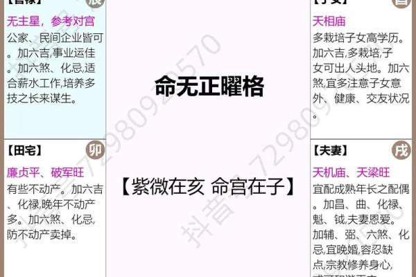 命格查询紫薇斗数