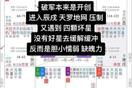 紫微斗数中，破军星的含义和性质全解读