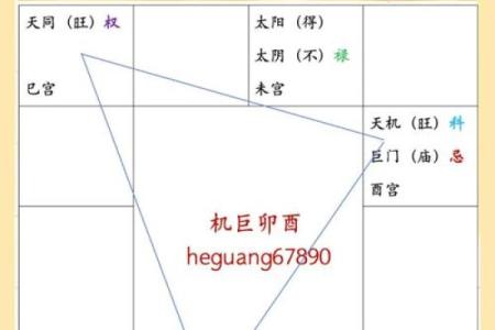 云机紫薇斗数