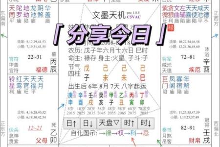 最准紫薇斗数app
