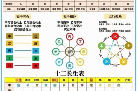 八字天干地支怎么看