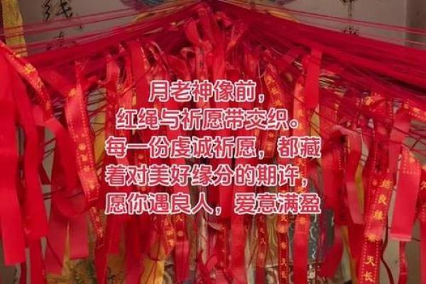 月老姻缘百度网盘下载链接 月老姻缘簿免费？
