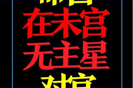 紫薇斗数太阴视频