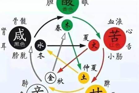 八字疾病类象 八字疾病如何预防