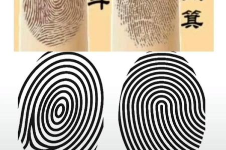 手指上的斗和簸箕代表什么 十个簸箕 簸箕和斗算命