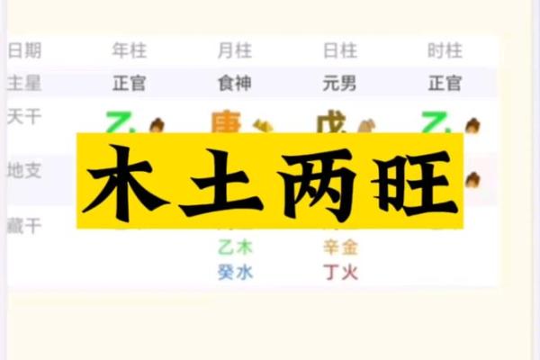 八字纯土是什么格局