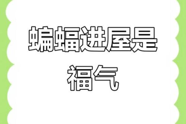 蝙蝠入屋是不吉利的吗风水上讲预示着什么-