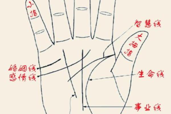 手相算命,女人手相成功线图解 手相算命,女人手相成功线图解