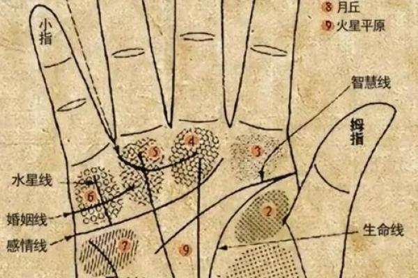 手相算命,女人手相成功线图解 手相算命,女人手相成功线图解