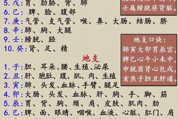 八字四凶神 八字四凶神到底有哪些