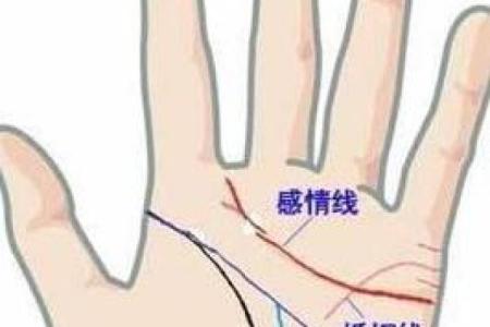 从手纹看姻缘 如何看手纹算命婚姻线？